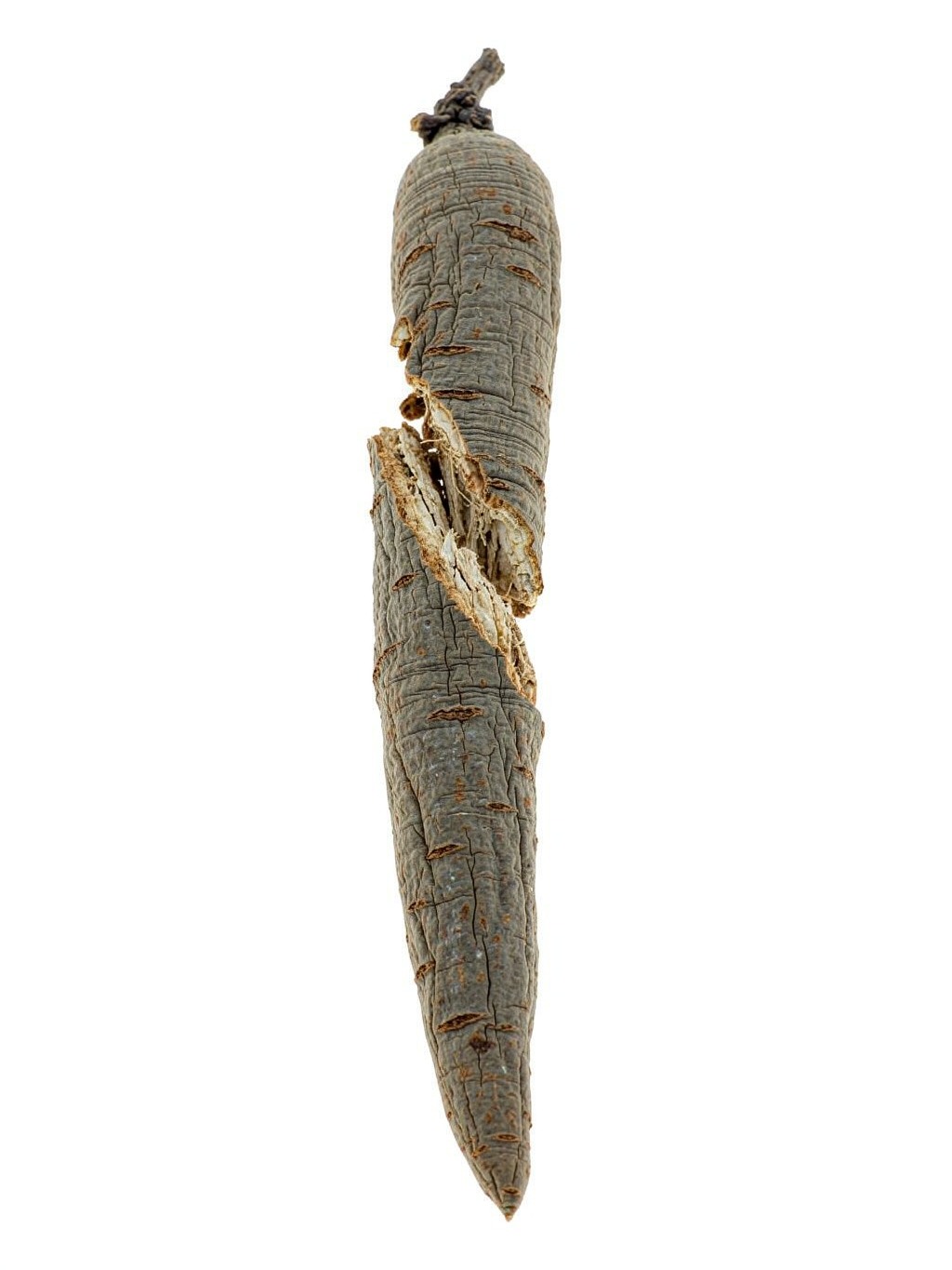 Saposhnikovia Root