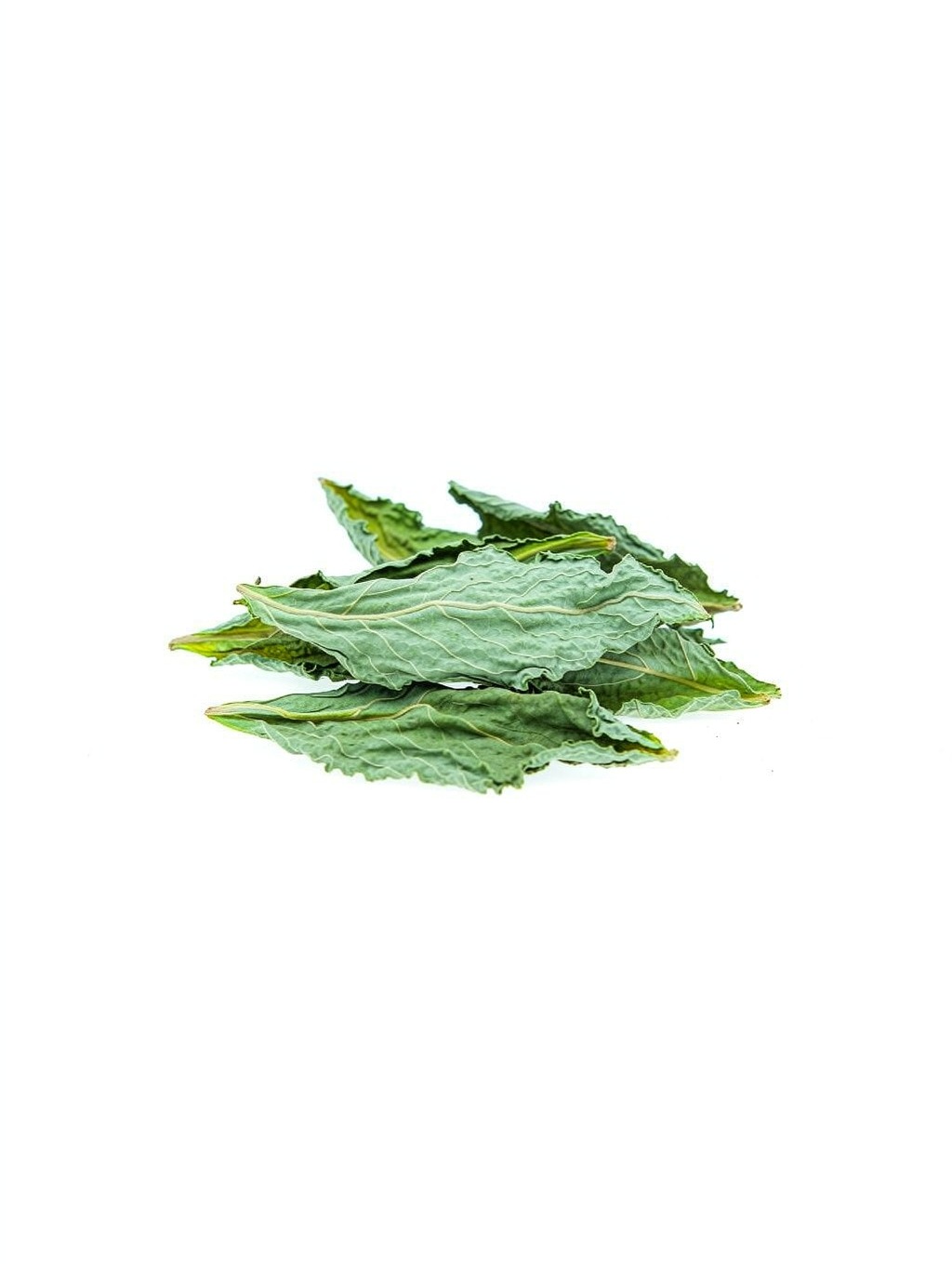 Isatis Leaf