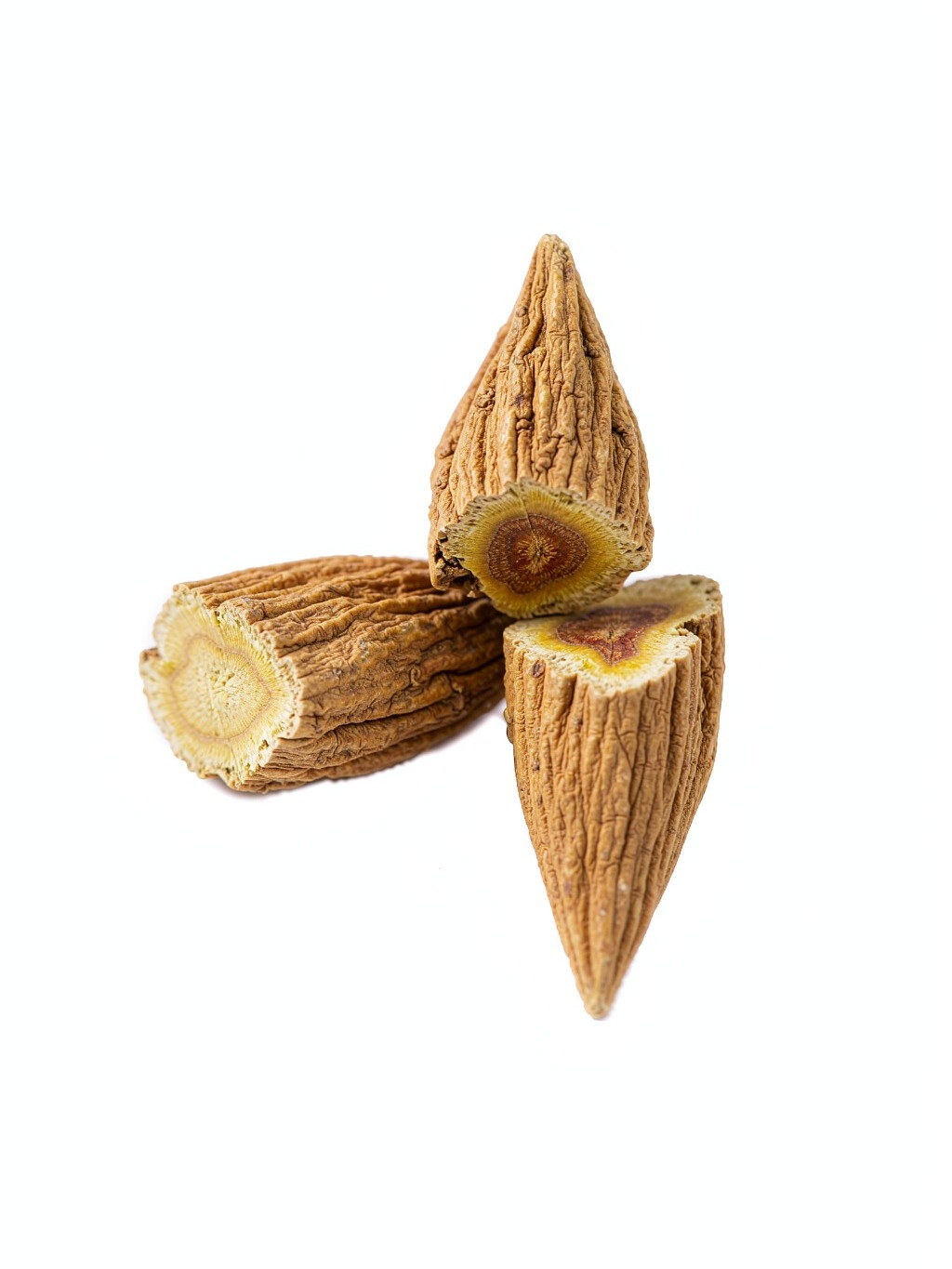 Scutellaria Root