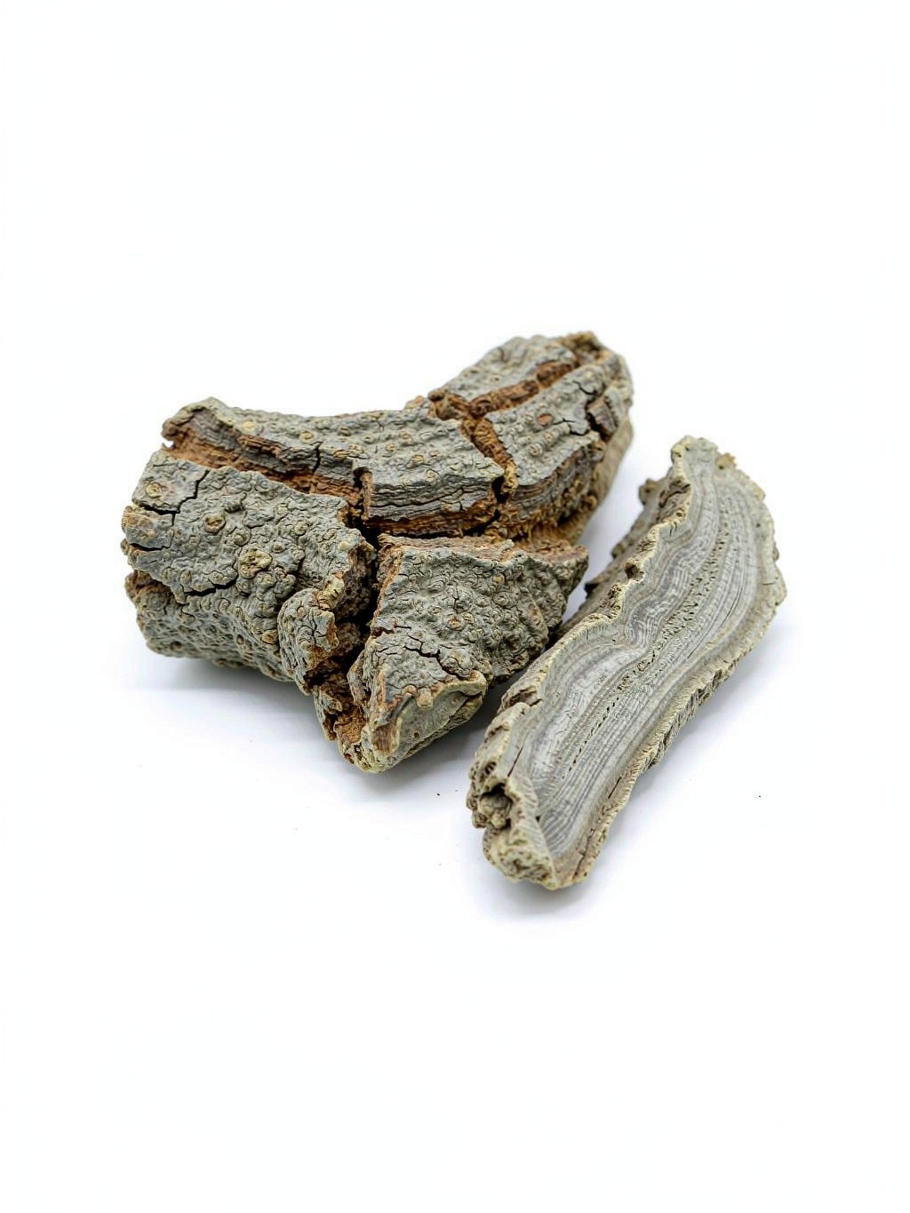 Lycium Bark