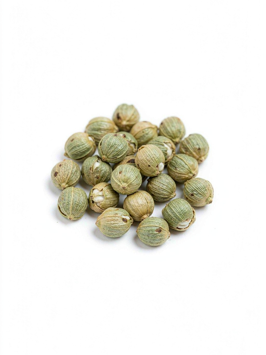 Hemp Seed