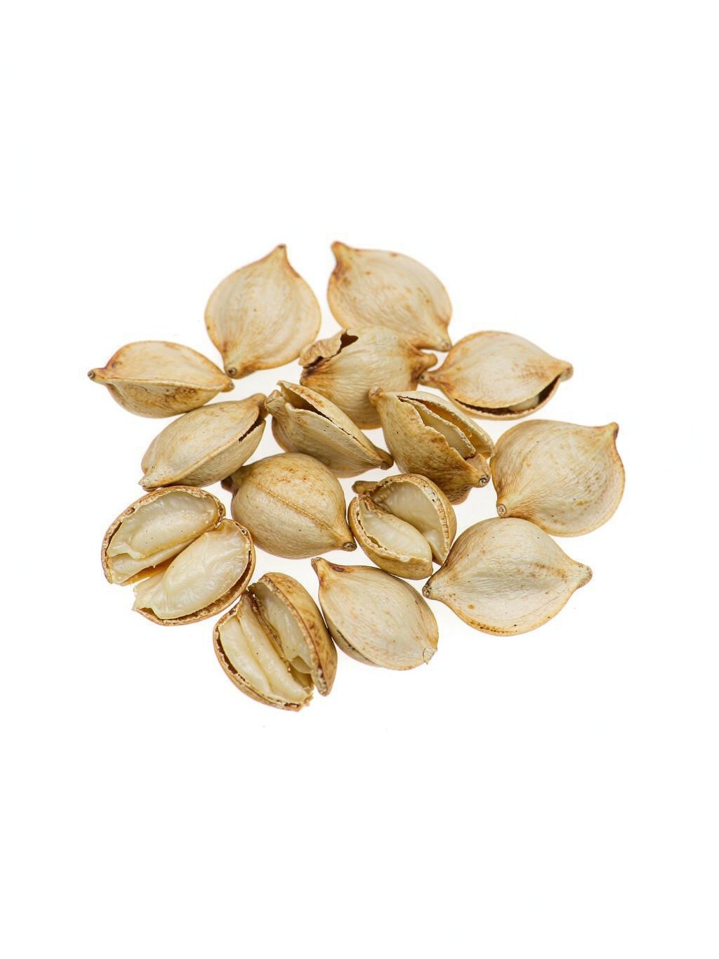 Prunus Seed