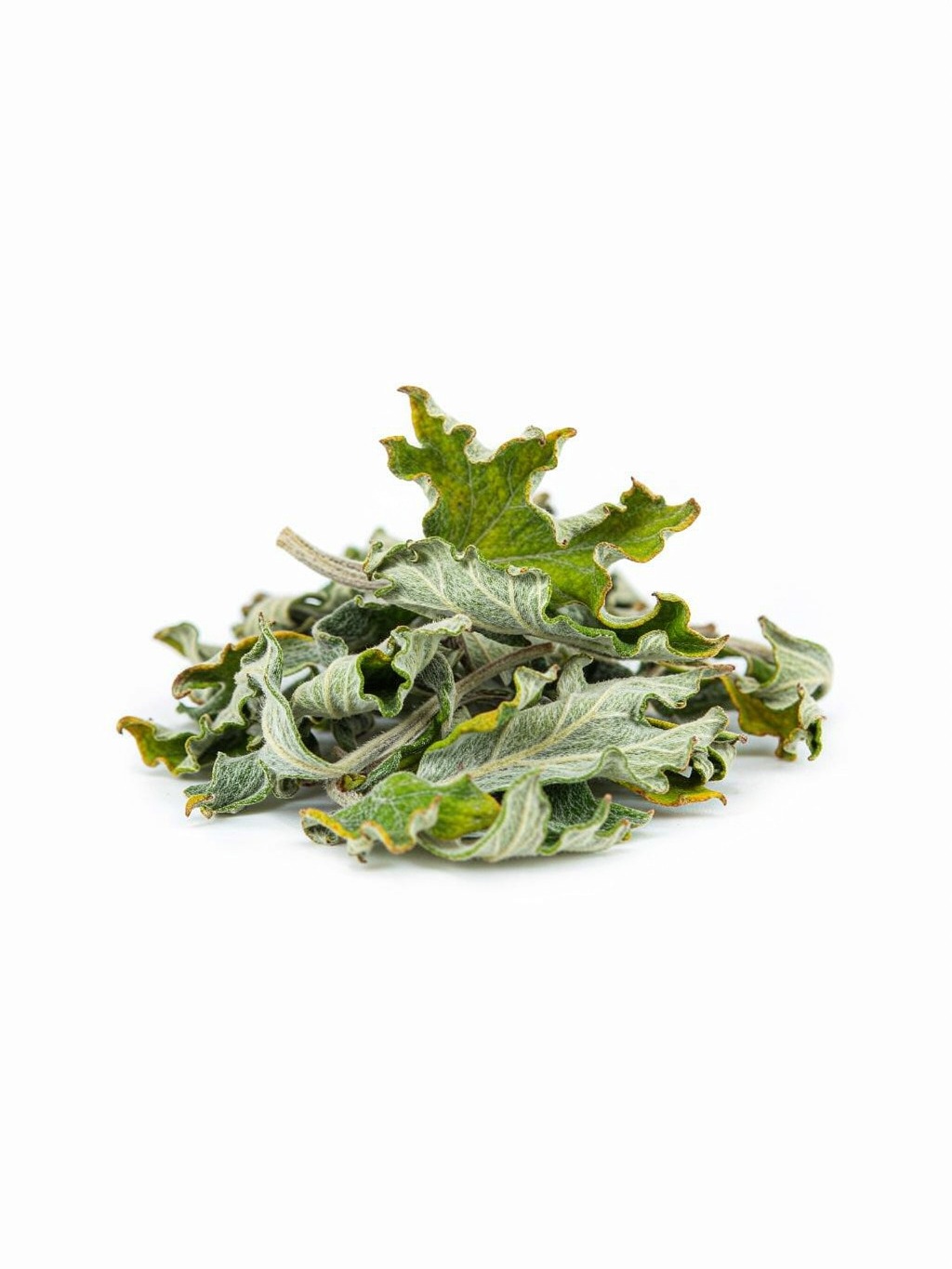 Argy Wormwood Leaf