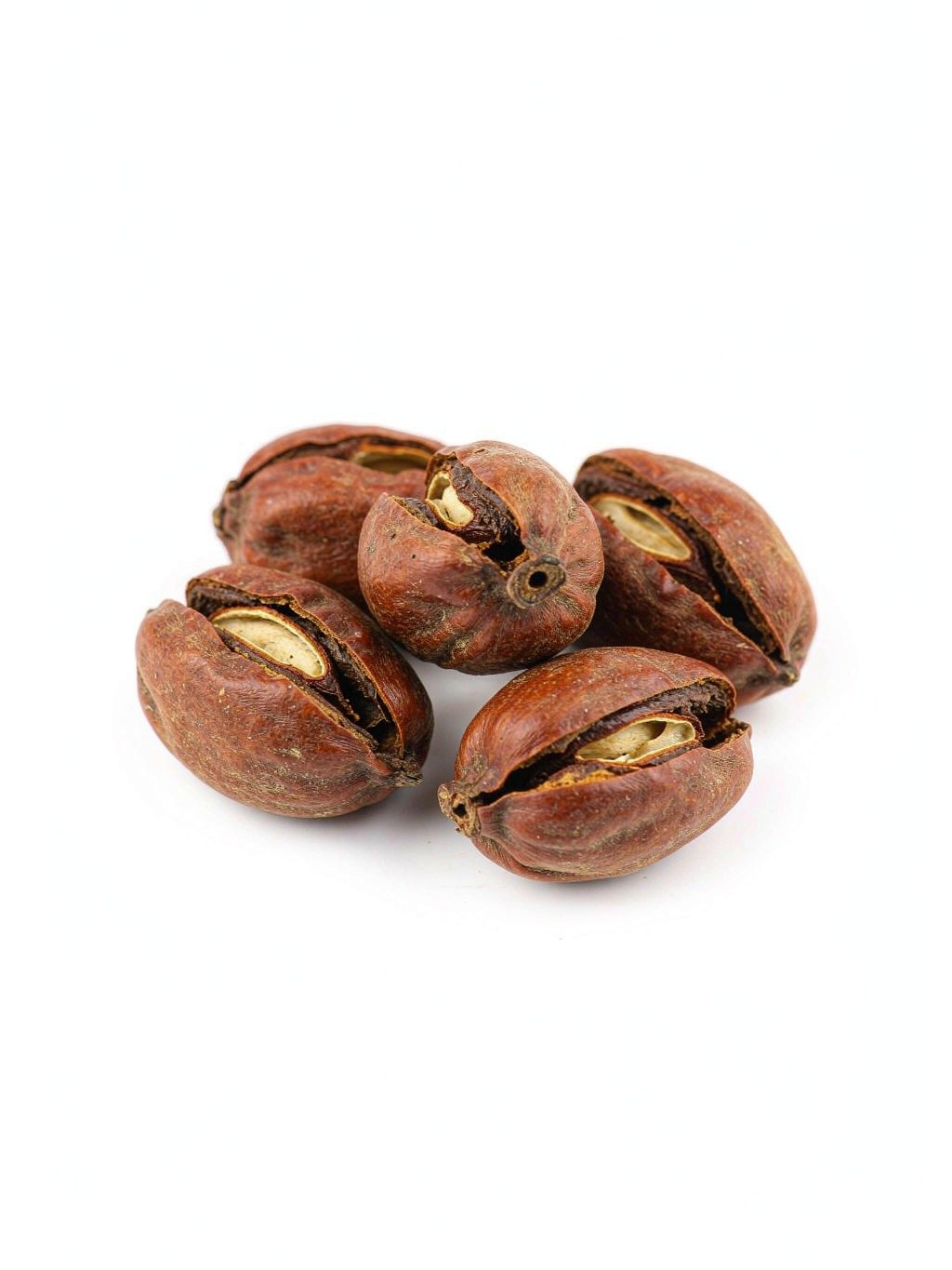 Villous Amomum Fruit