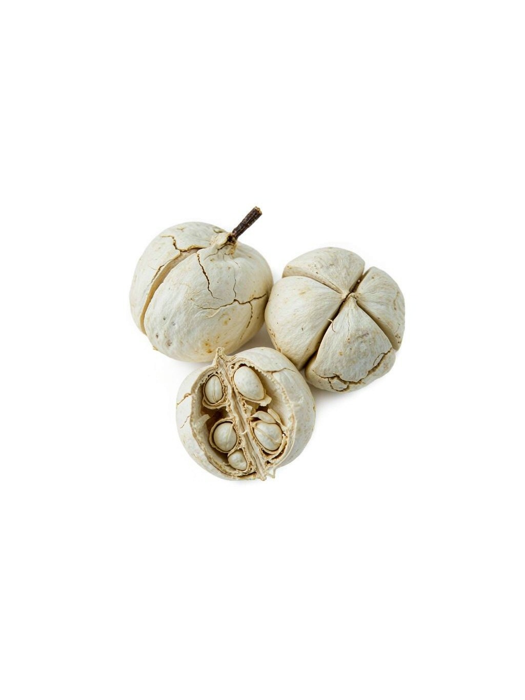 White Cardamom