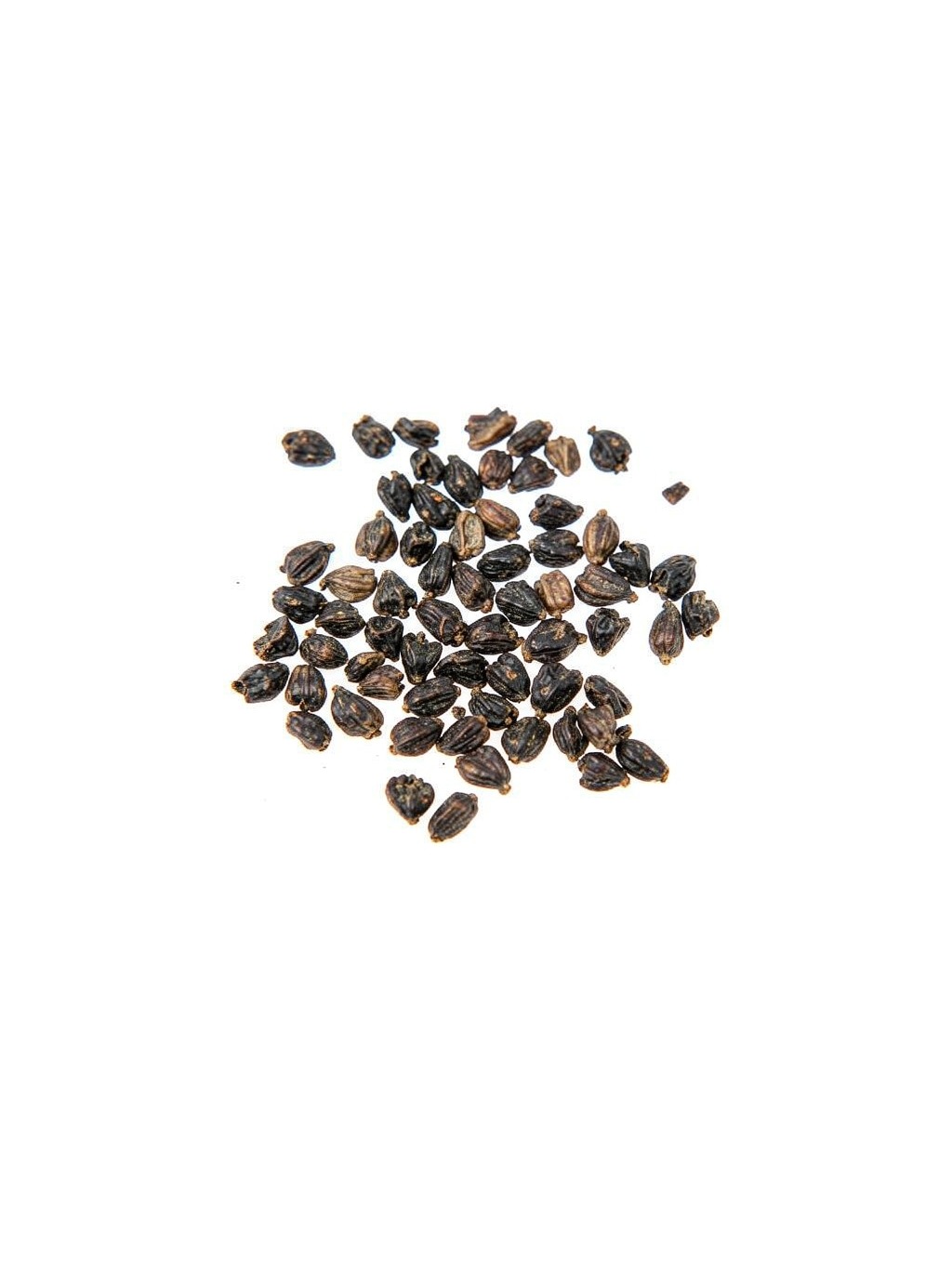 Plantain Seed