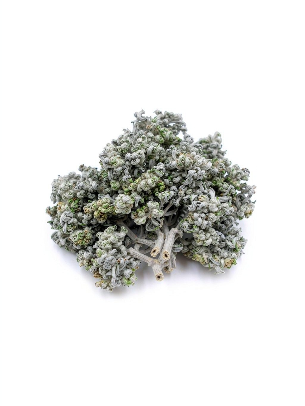 Yinchen Wormwood