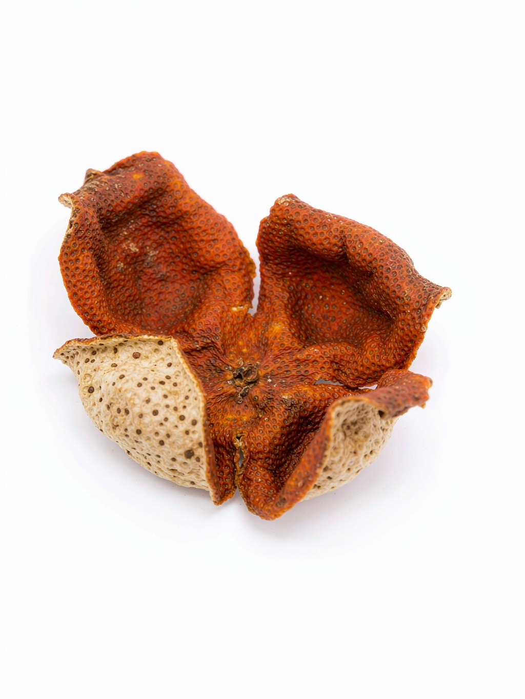 Tangerine Peel