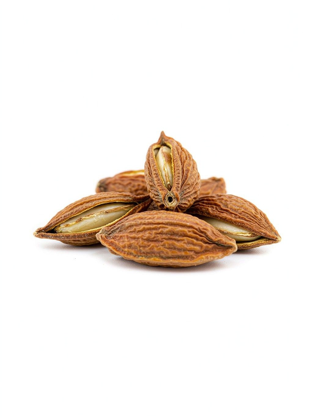 Peach Seed