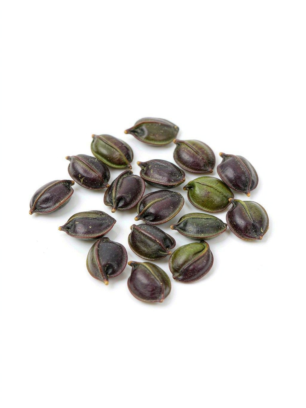 Sour Jujube Seed