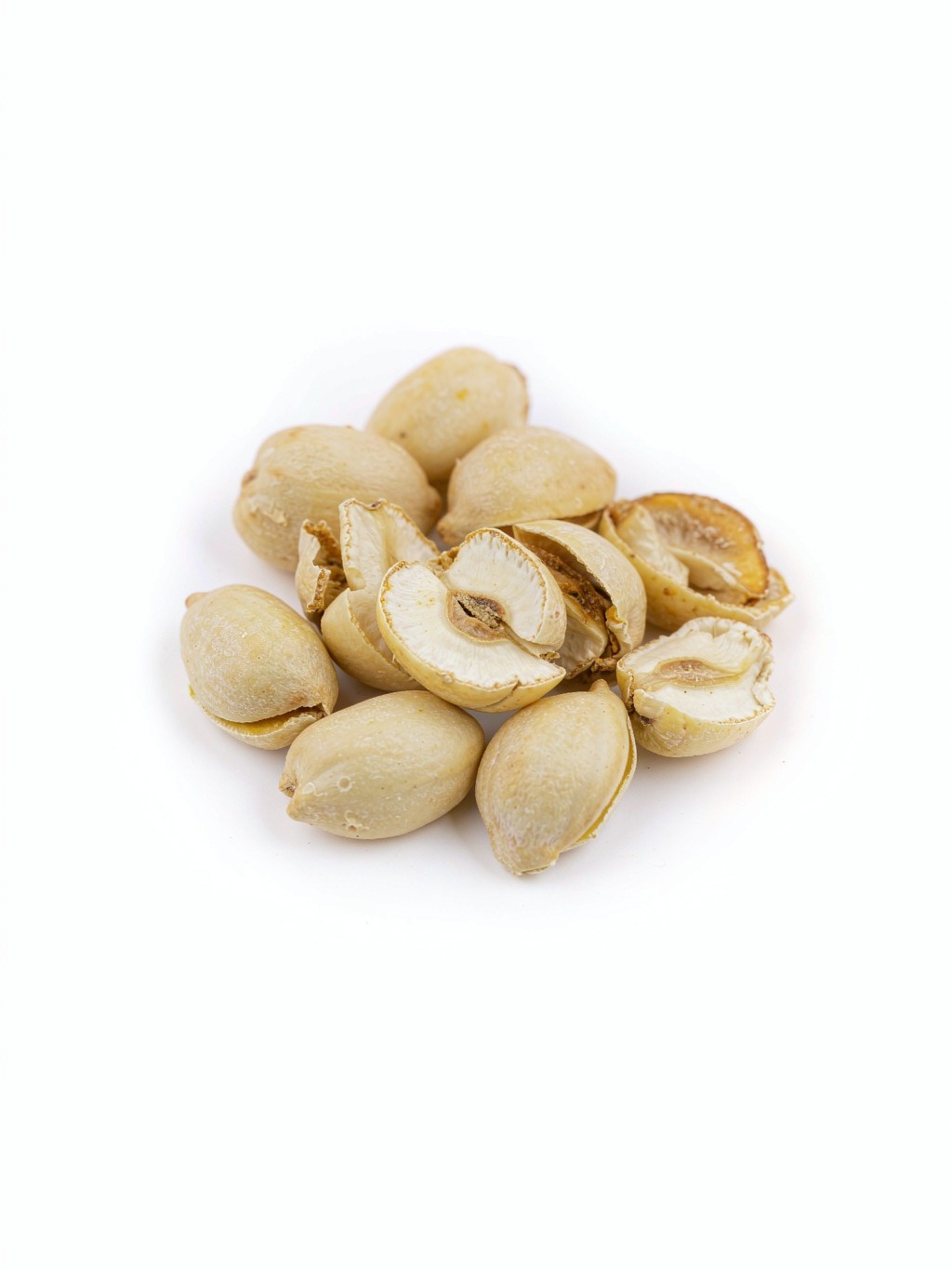 Arborvitae Seed