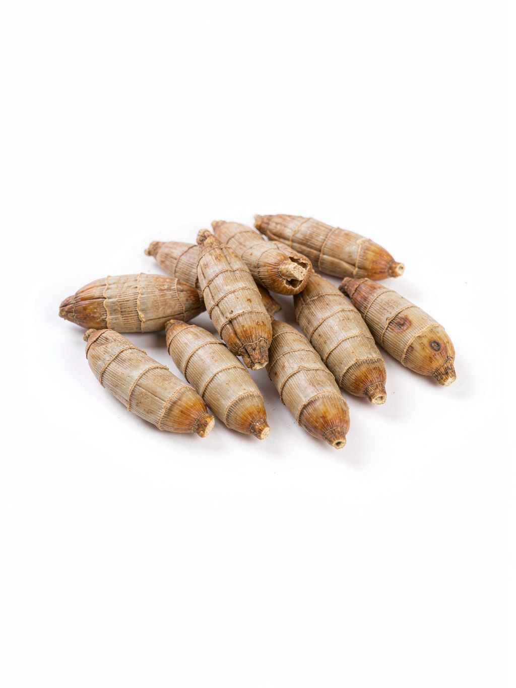 Gastrodia Rhizome