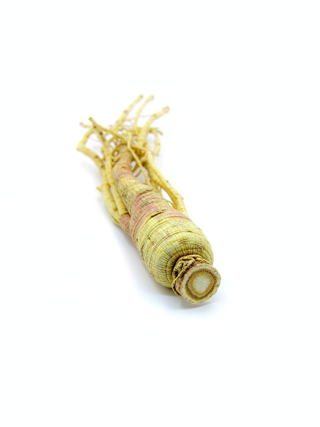 Ginseng