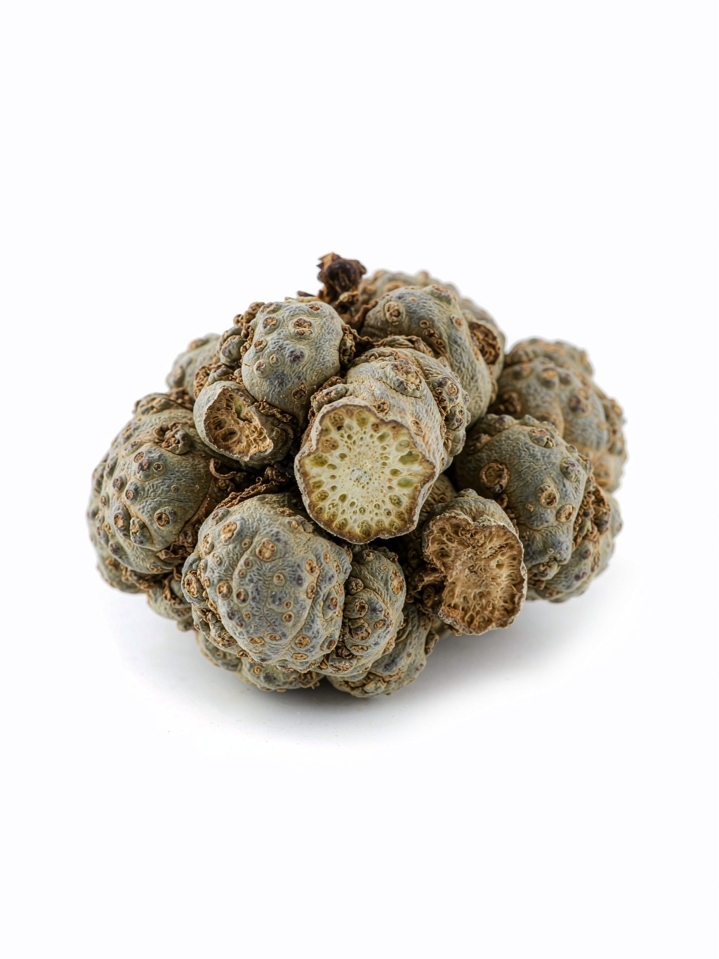White Atractylodes Rhizome