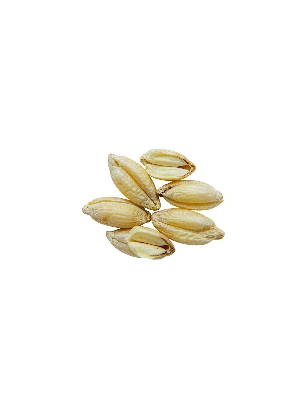 Light Wheat