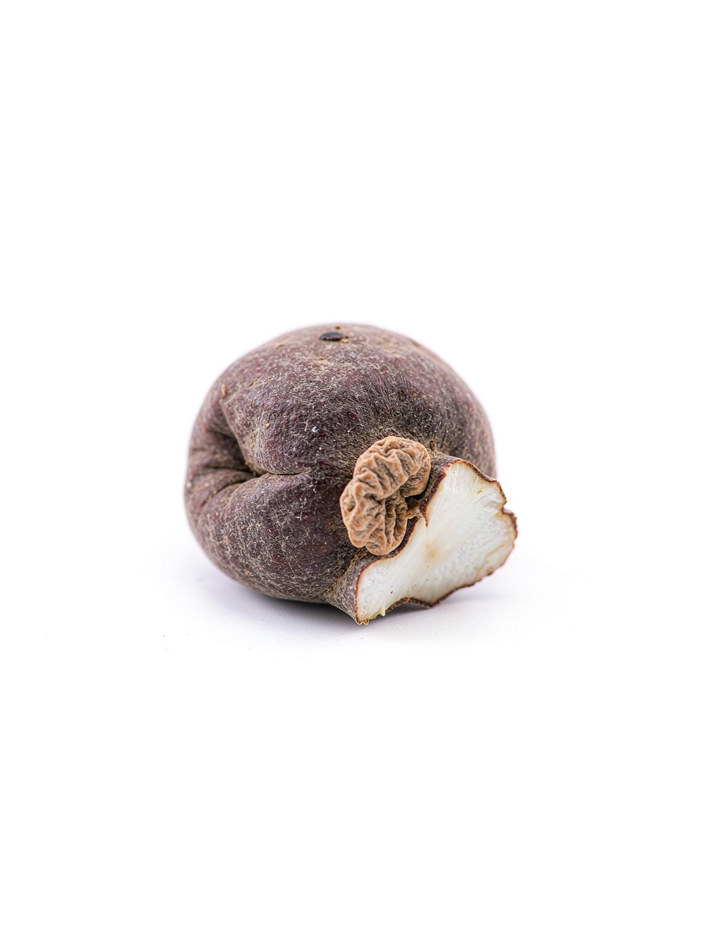 Gorgon Fruit